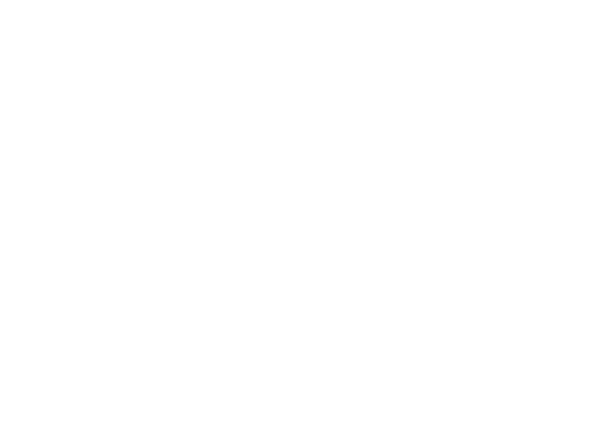 logo-demac-pranchetashite