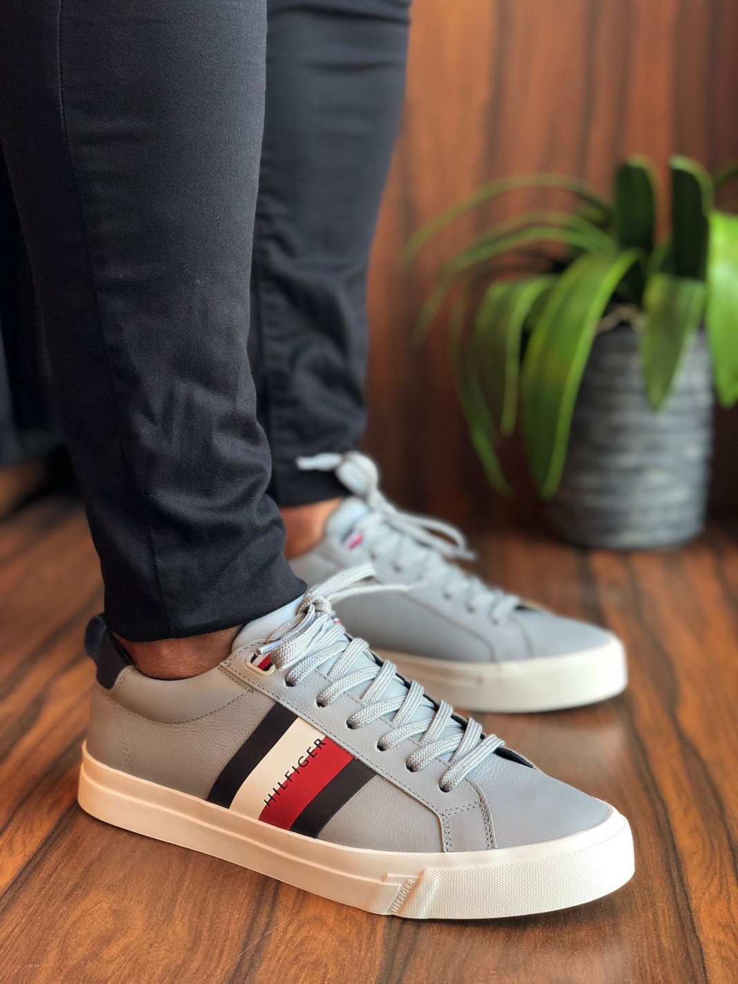 Tommy sales hilfiger dino