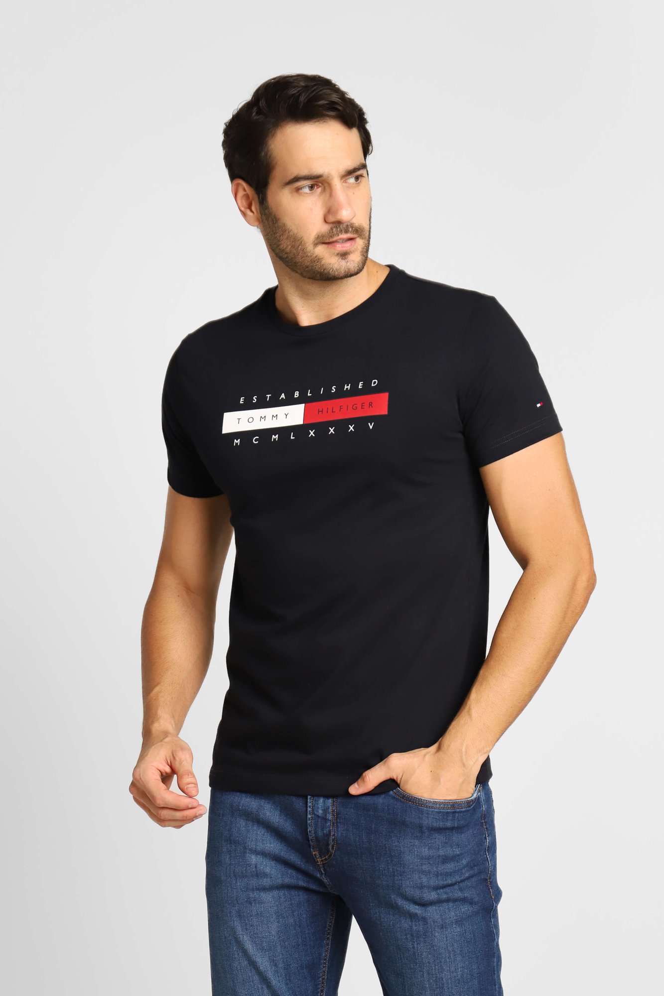 Camiseta Tommy Hilfiger Logo Established - Oficial Mens Store  A melhor  loja masculina de roupas e calçados importados do Brasil