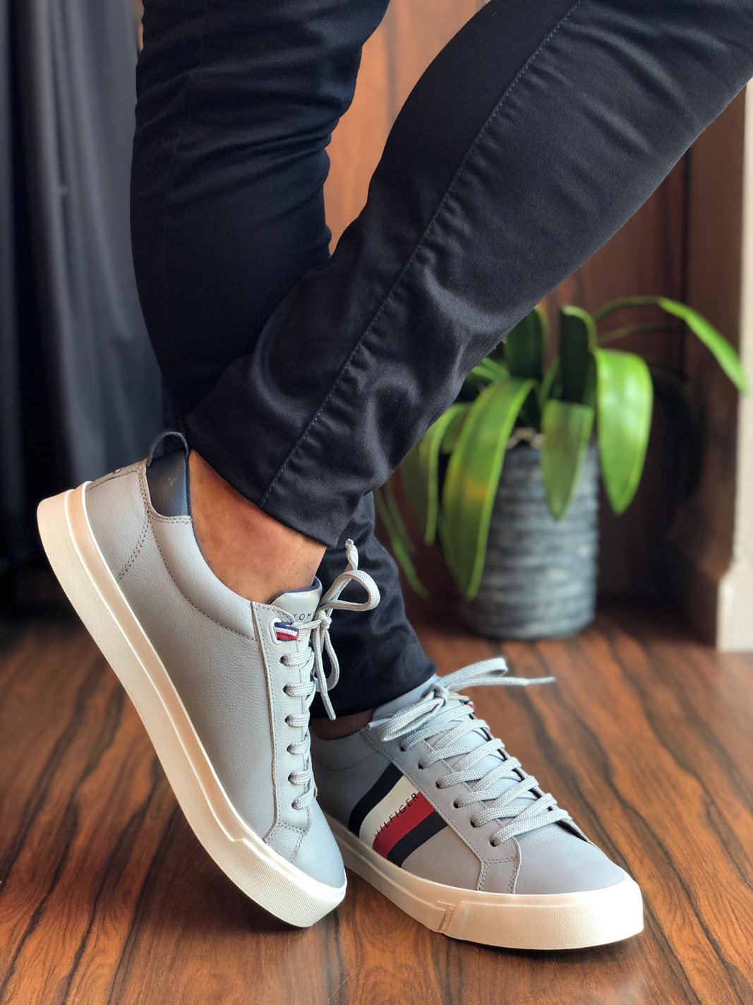 Tommy online hilfiger dino