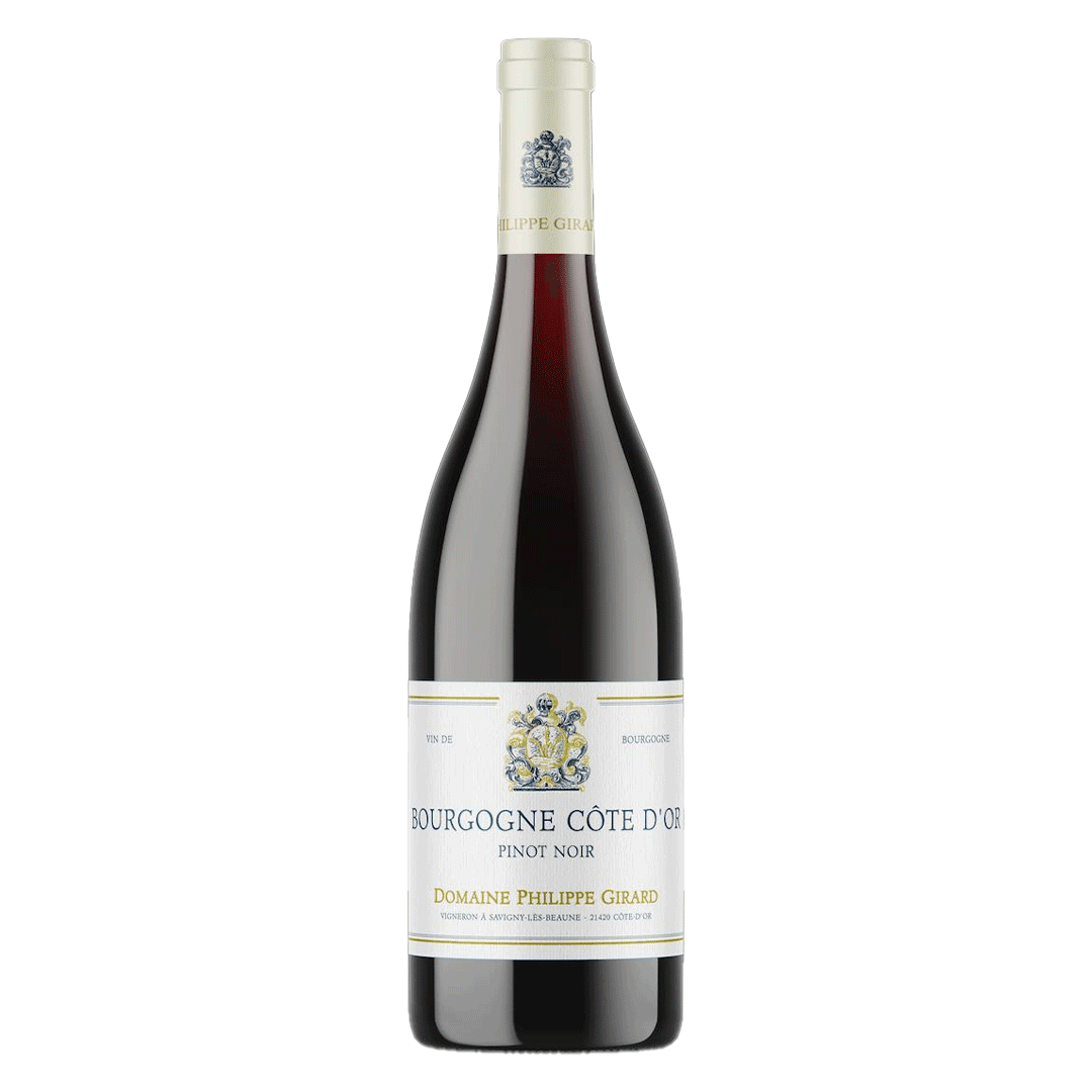 Vinho Tinto Bourgogne Côte D´Or Pinot Noir 2023 | Porto Rio