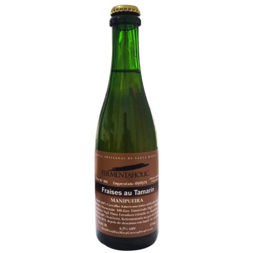 Cerveja Fermentaholic Fraises au Tamarin 375ml 