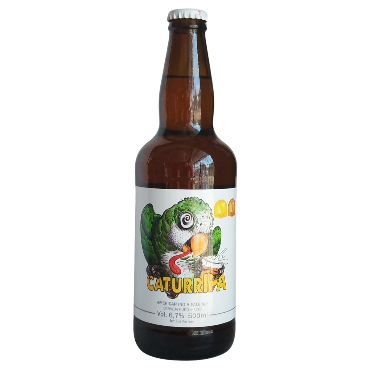 Cerveja artesanal Irmãos Ferraro CaturrIPA 500ml | Costi Bebidas