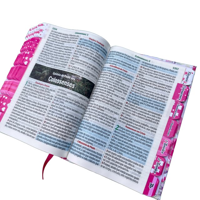 b-blia-le-o-borboletas-full-cpp-color-palavras-de-jesus-vermelho-deus