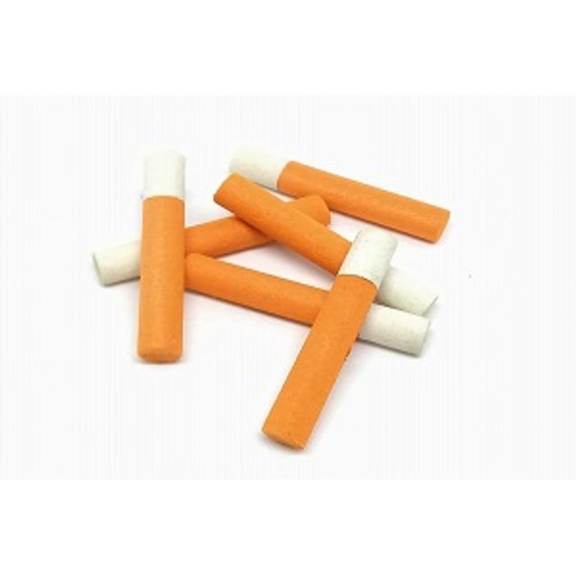FOAM CYLINDERS INSECT | WILD FLY SHOP
