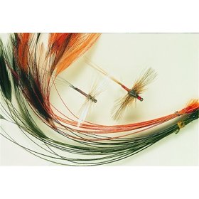 l-ready-stripped-hackle-quill