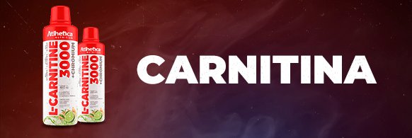 carnitina-582x195-01-1