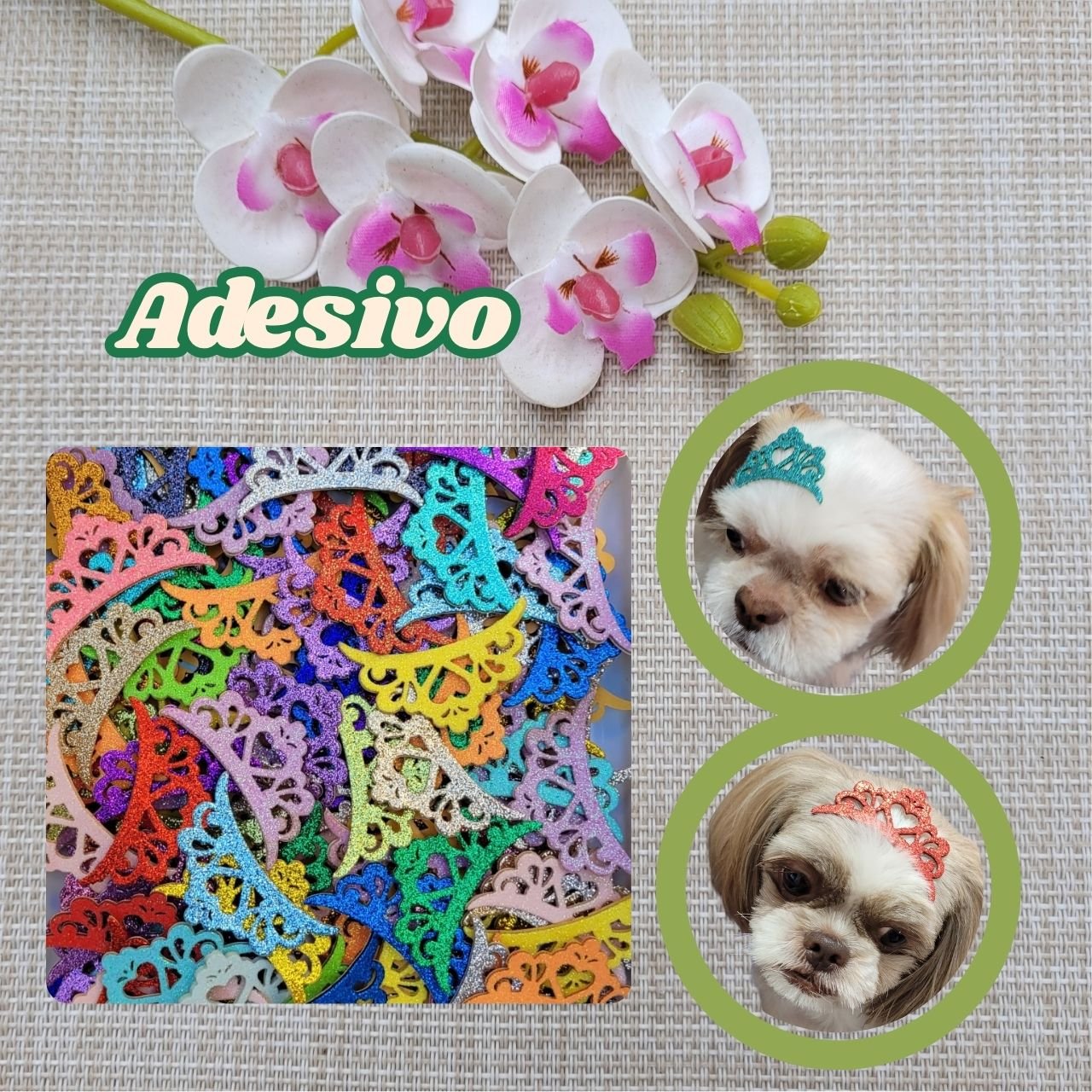ADESIVO PARA PET - DIA A DIA - COROA MÉDA | Cachorrada & Cia ...