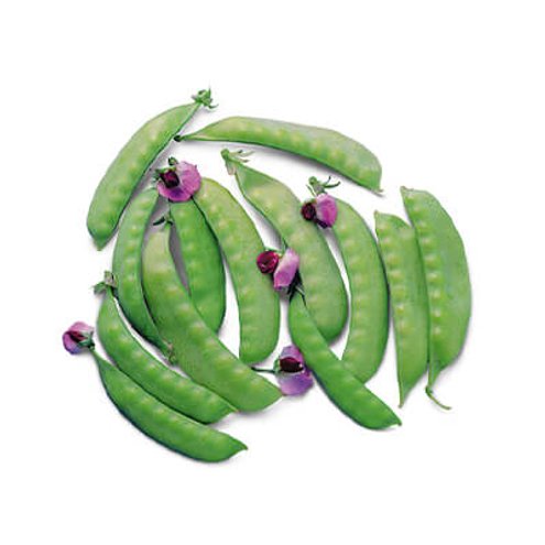 Horticeres | Proteto Agricola