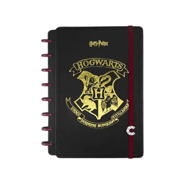 Caderno Pautado Harry Potter - Ravenclaw A5 - Insight Editions, Cadernos -  Compra Livros na