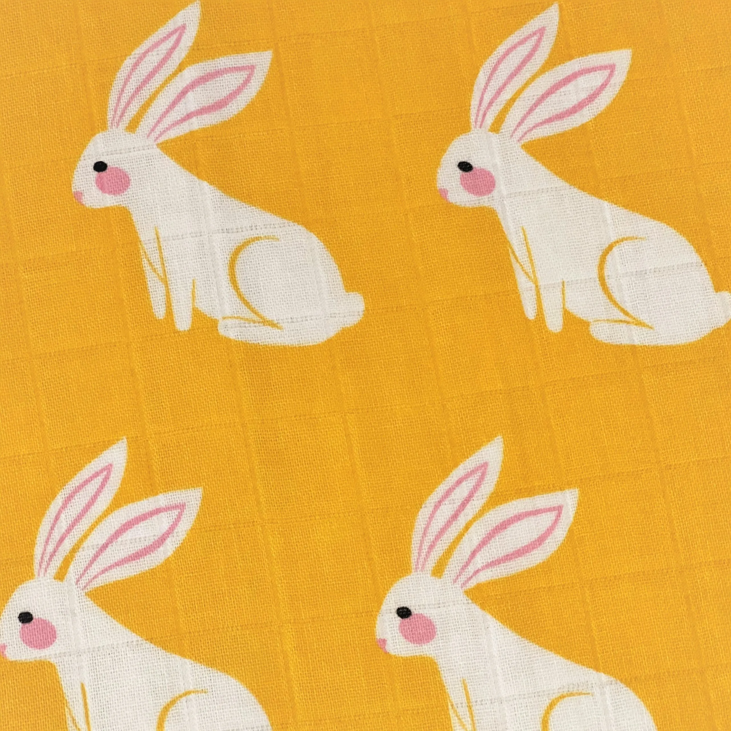 Coelho Colbi (OG) | Mundo Póca