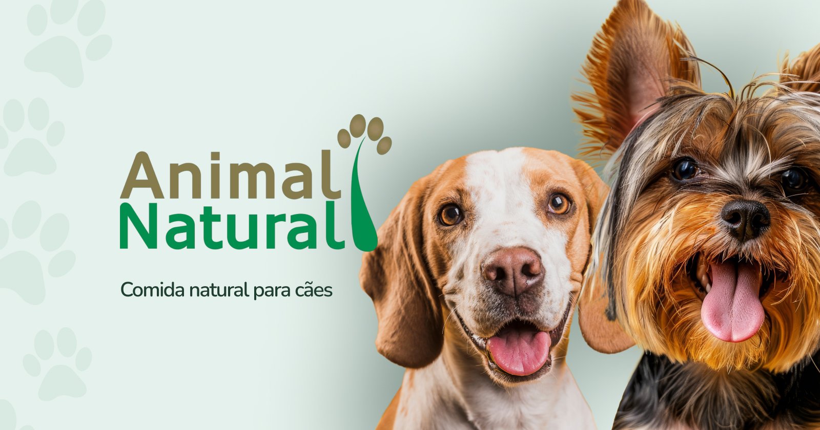 Como tratar a reação alérgica em cães | VETgirl Veterinary CE Blog, image size:1600x840