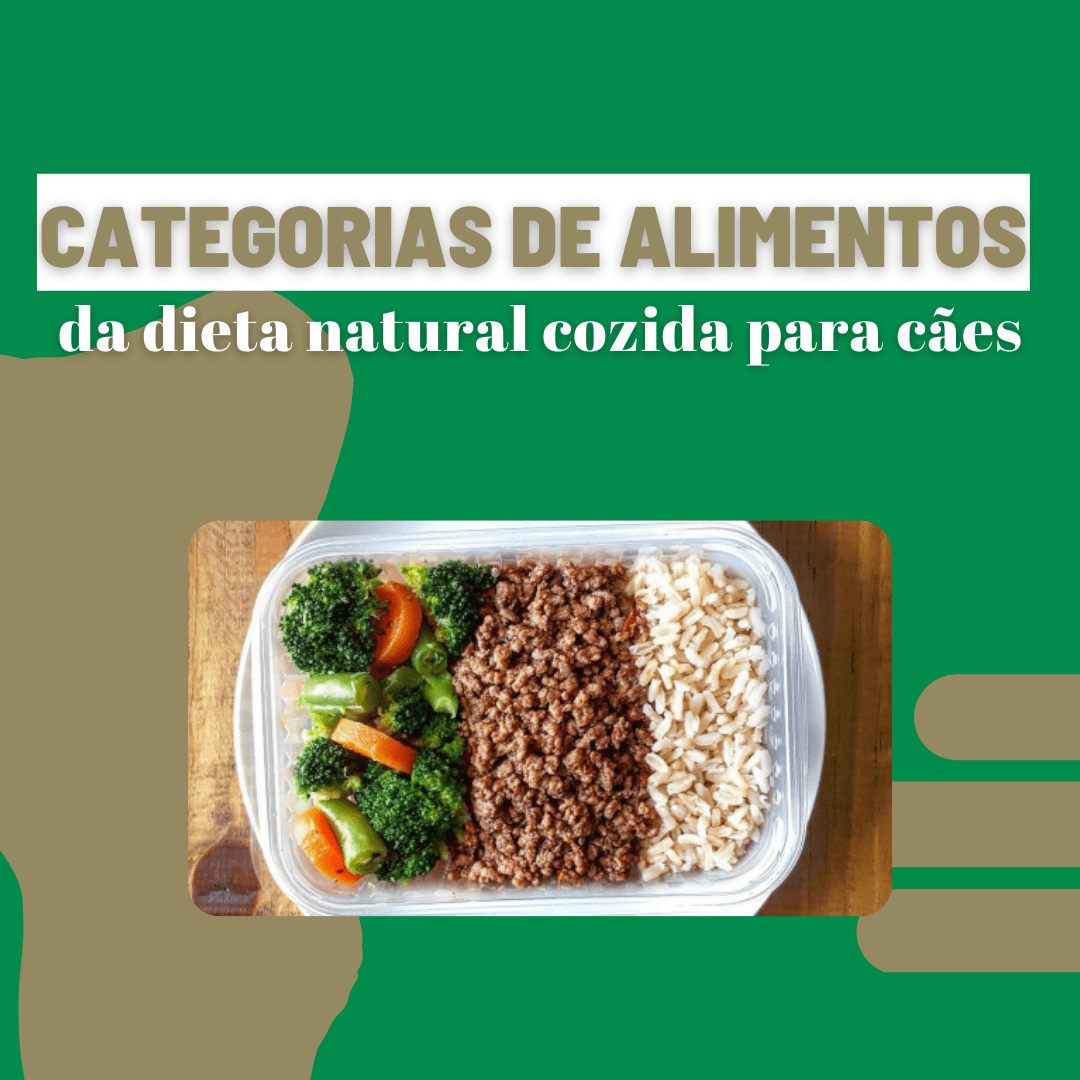 CATEGORIAS DE ALIMENTOS DA DIETA NATURAL COZIDA PARA CÃES