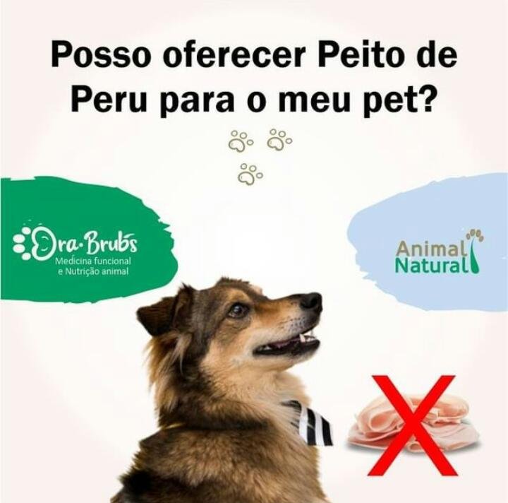 Os cães podem comer peru?