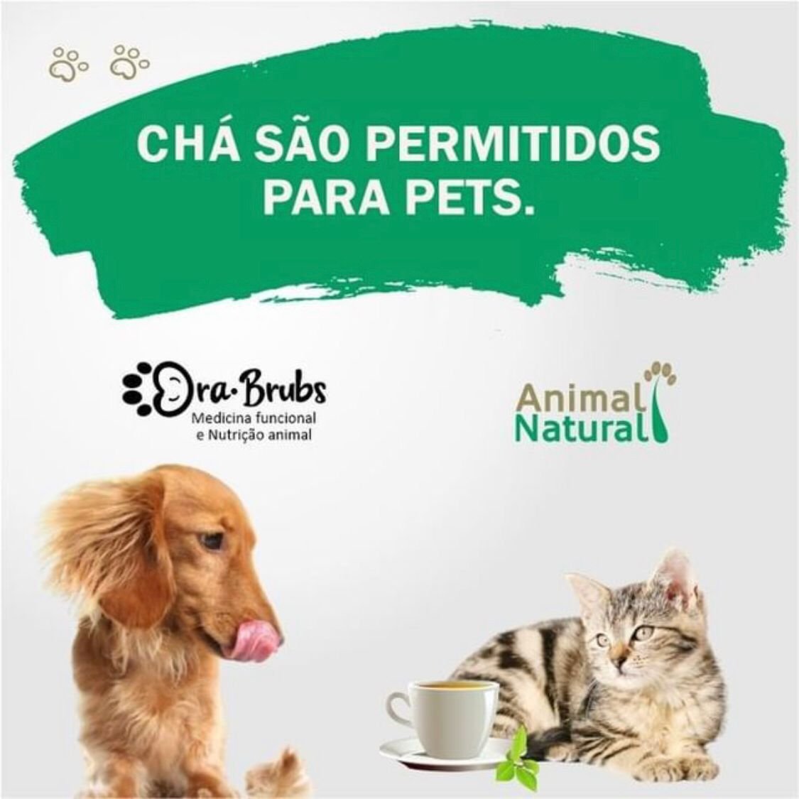 CH S S O PERMITIDOS PARA PETS Animal Natural