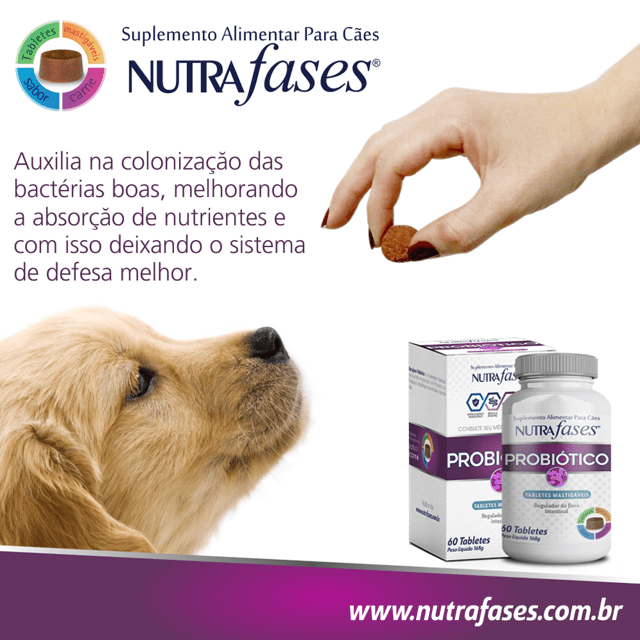 NutraFases Probiótico p/ cães com intestino sensível