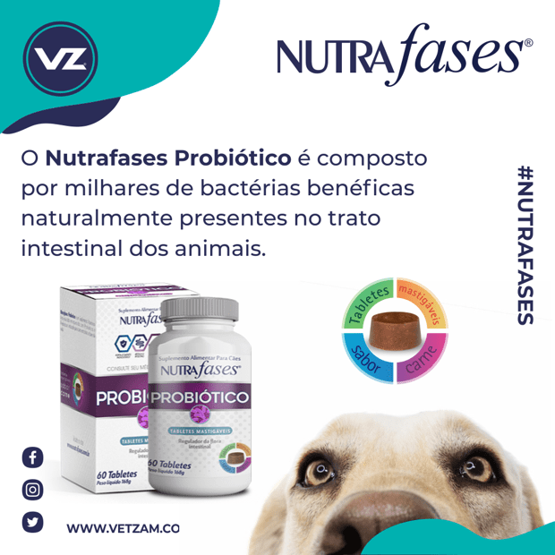 nutrafases-probiotico-3