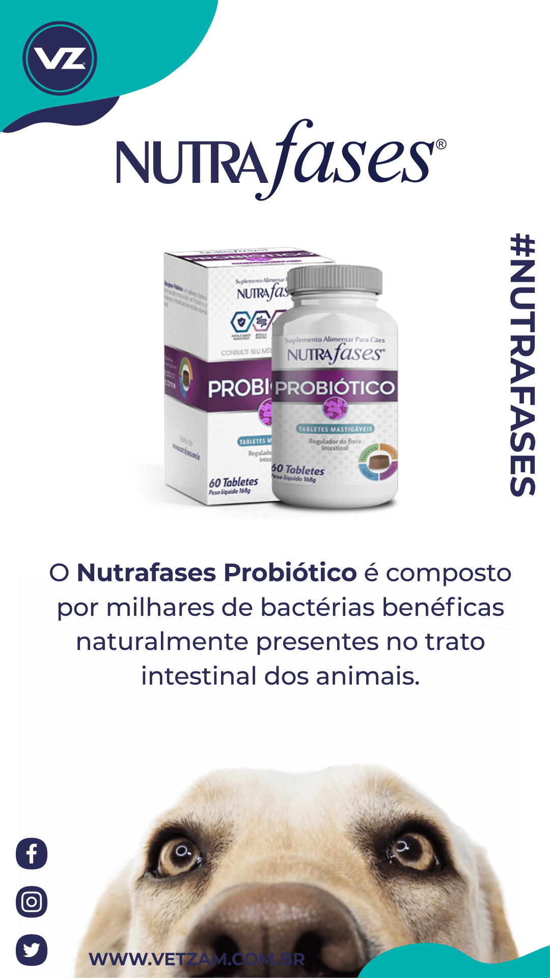 nutrafases-probiotico-4