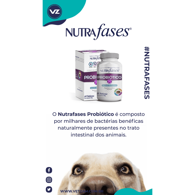 NutraFases Probiótico p/ cães com intestino sensível