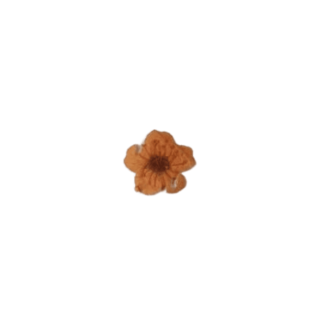 Estojo de Flor Secas Cores Variadas com 12 Cápsulas