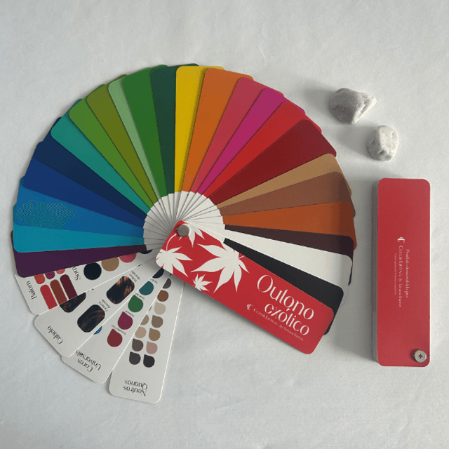 Kit de Leques de Cores Color Lifting (16 Estações) | Papelícia