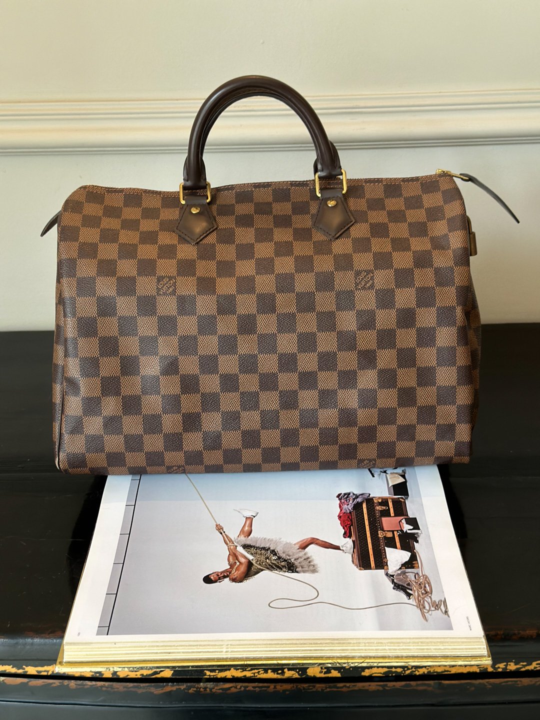 BOLSA LOUIS VUITTON  Fê Scarambone Desapega