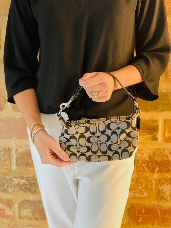 mini camera bolsa with butterfly print coach