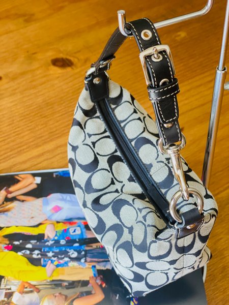 baby blue coach bolsa