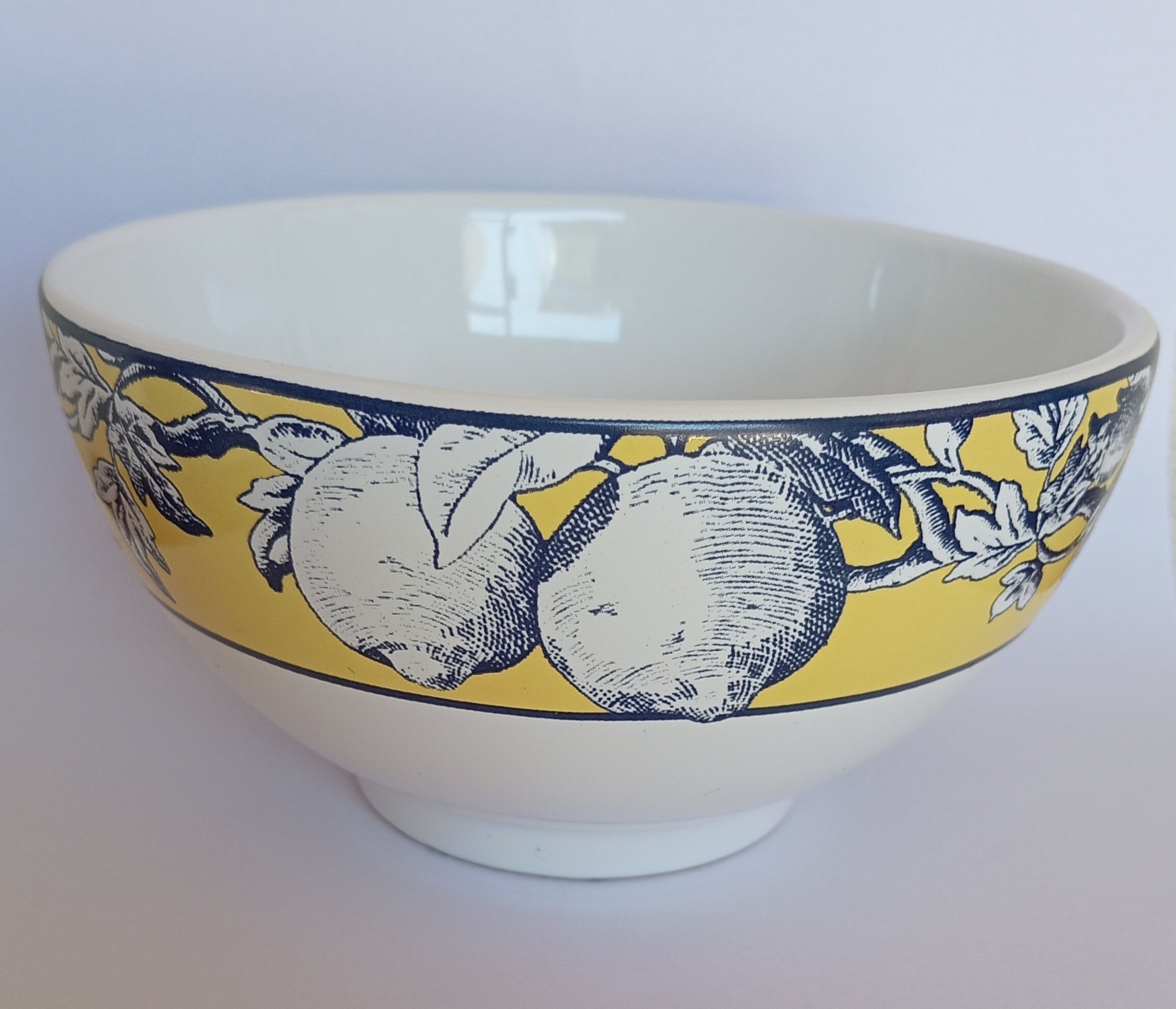 Bowl Cereal Harvest | PorcelAna Home