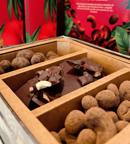 Lata Presente Terra Brasilis 250G | Mendoá Chocolates
