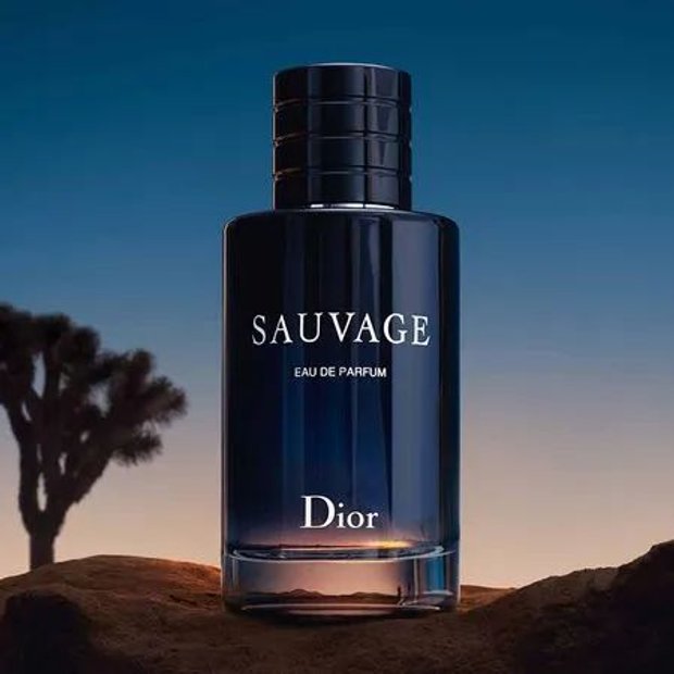 Perfume Sauvage Dior Eau de Parfum 100ml | MAZZO D'FIOR