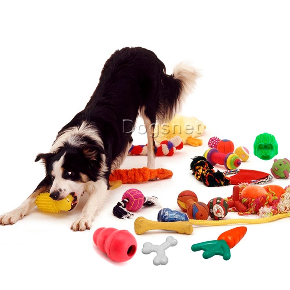 Tipos de Brinquedos para cachorros