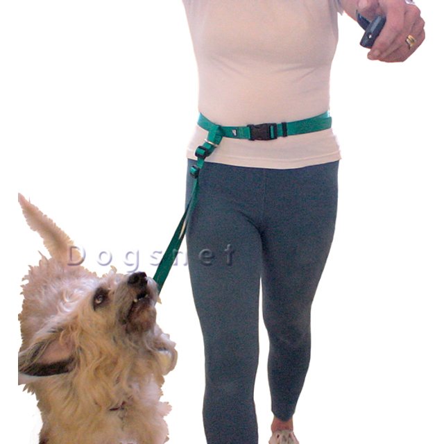 Guia de Corrida – Cinto + Guia para Correr com Cachorro | Dogsnet