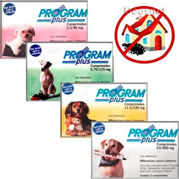 Program Plus | Dogsnet