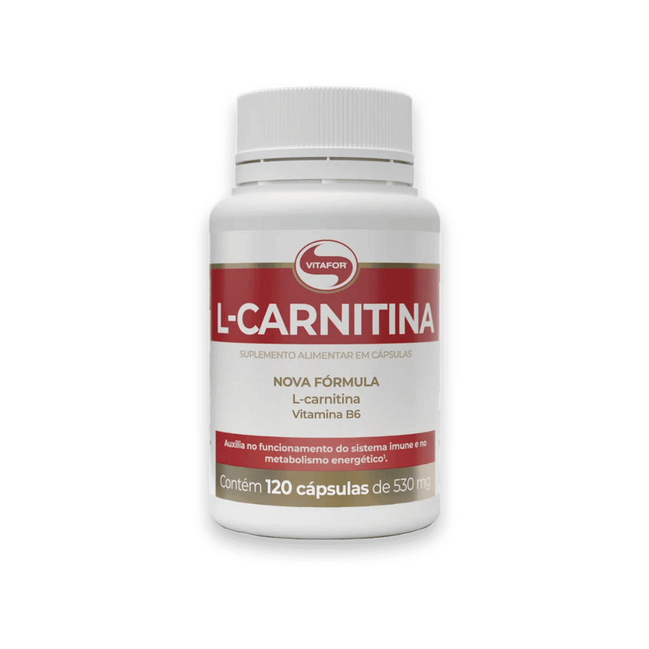 L-Carnitina Vitafor - 120 Cpsulas | Energia e Emagrecimento | Casa mega