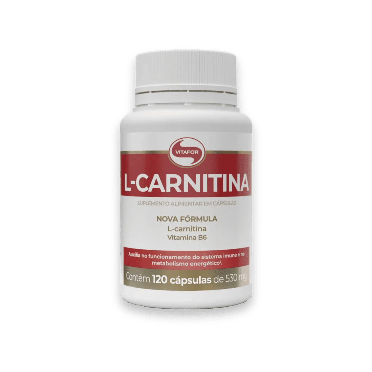 how many servings of l carnitine 3000 per day nutrex l-carnitine 3000 31 servings – Gymclub1.com how many servings of l carnitine 3000 per day nutrex l-carnitine 3000 31 servings – Gymclub1.com