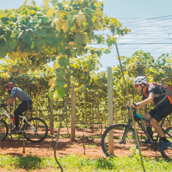 WineBike | Vinícola Góes