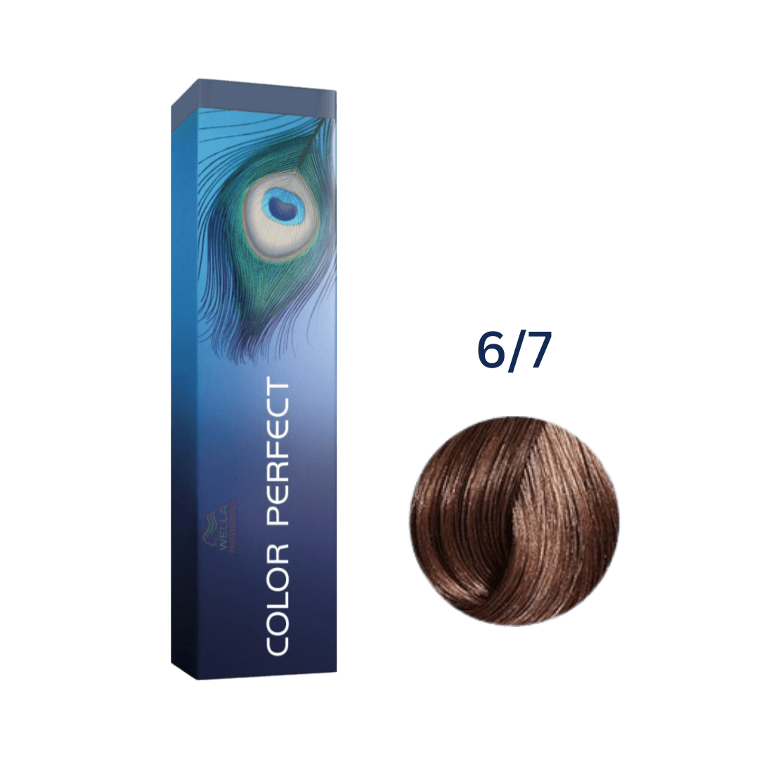 coloracao-color-perfect-67-60g