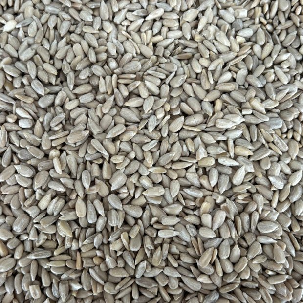 Semente de girassol - 100g | Naturality