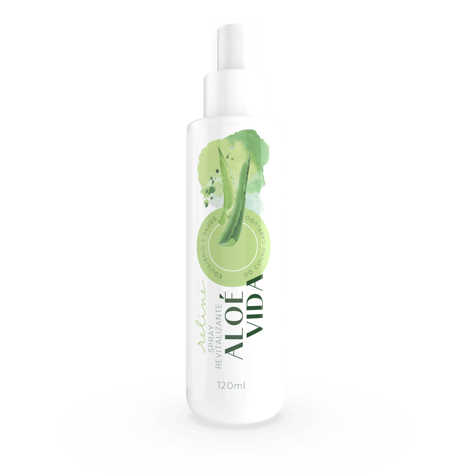 aloe vera aesthetic Aloe 'White Beauty'
