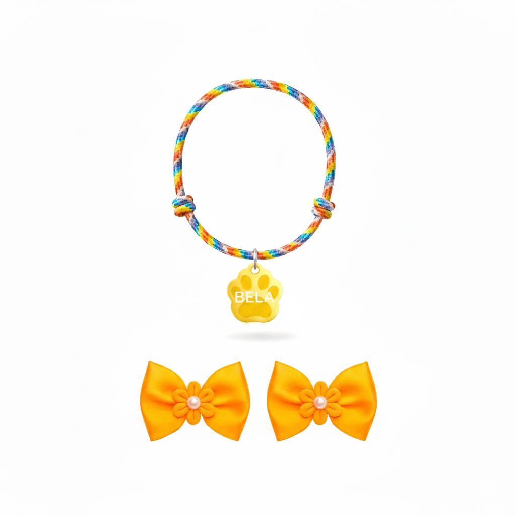 COLAR PARA CACHORRO PERSONALIZADO + LACINHO PET | Sonho de Patas ...
