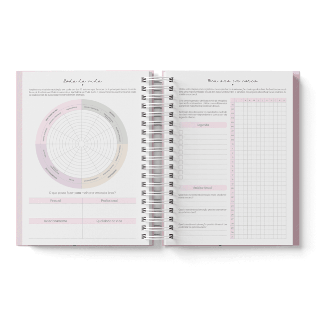 Planner 2025 - Daisy | Drop Paper