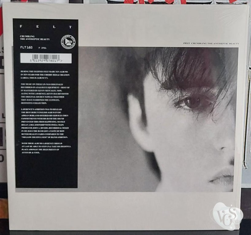 Felt – 