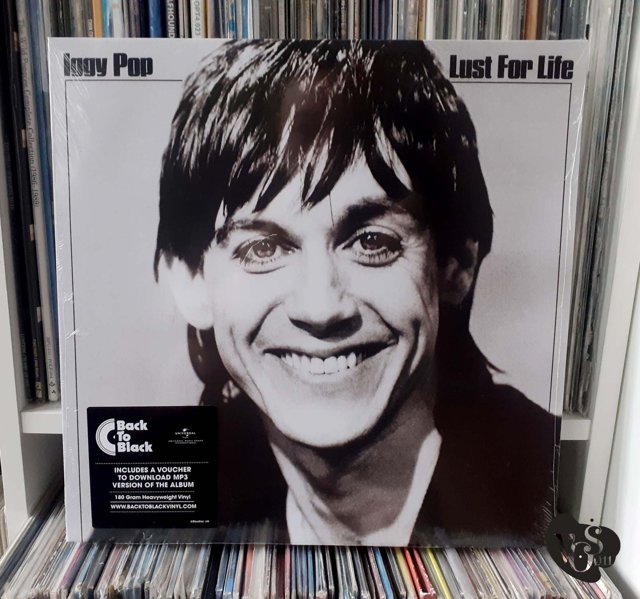 Iggy Pop - 