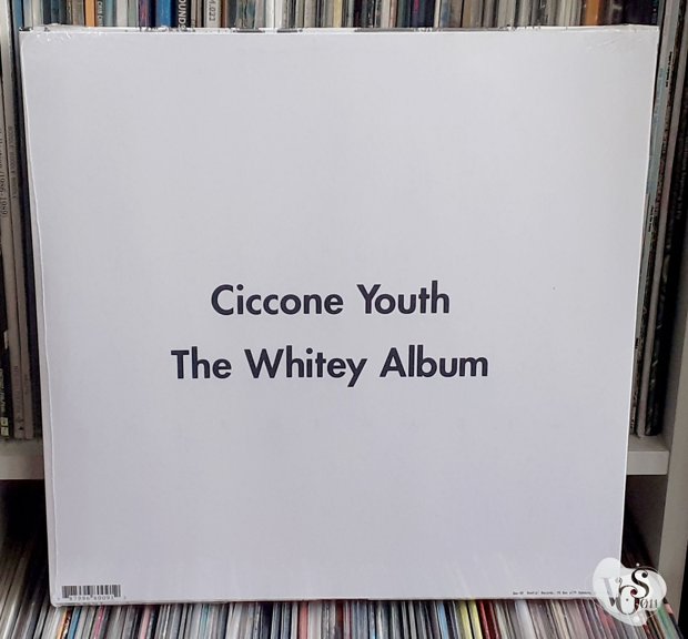 Ciccone Youth – 