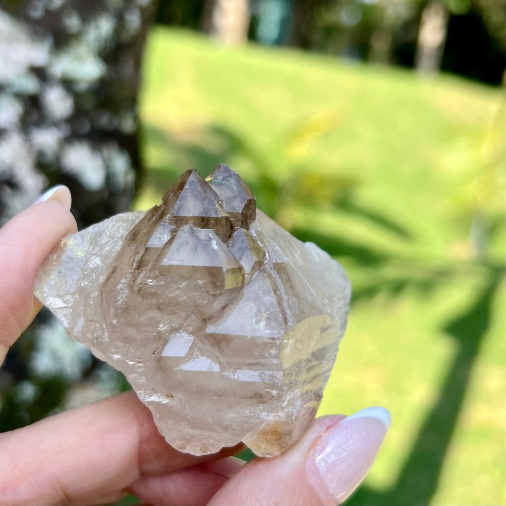 QUARTZO ELESTIAL - M | Natural Mystic