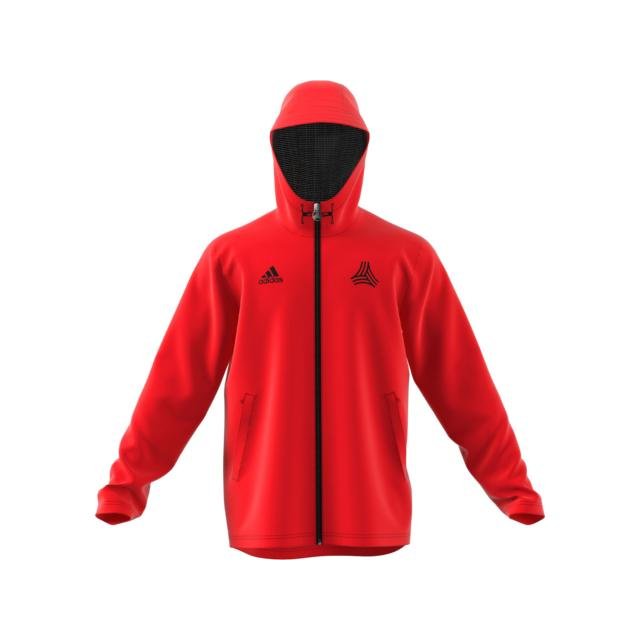 Adidas dp2684 Clearance