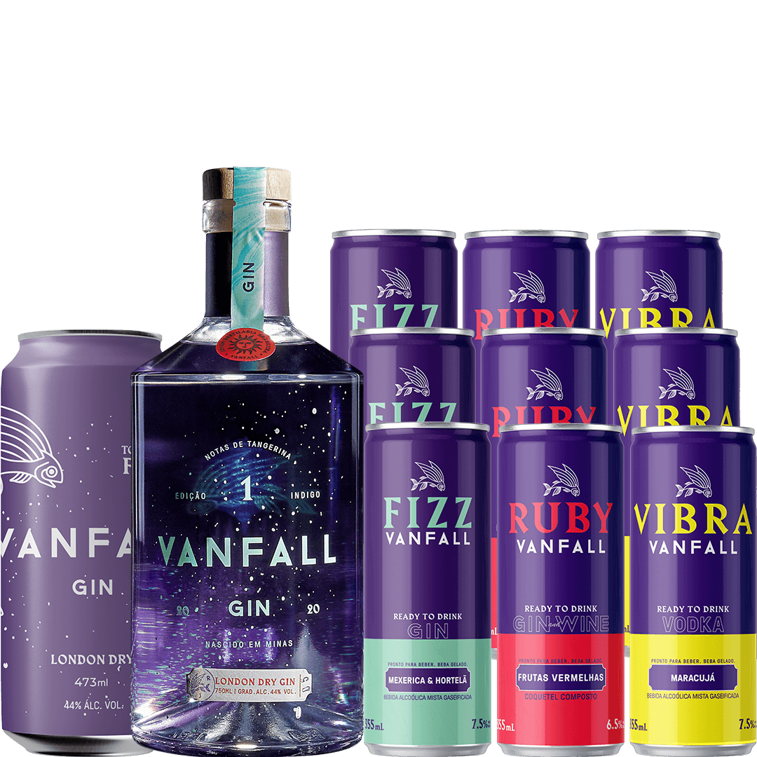 Combo Momentos Vanfall | Gin + Drinks Prontos | Vanfall Destilaria ...