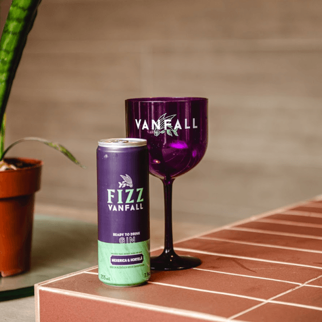 Fizz Vanfall 355ml | Drink Pronto com Gin e Mexerica | Vanfall