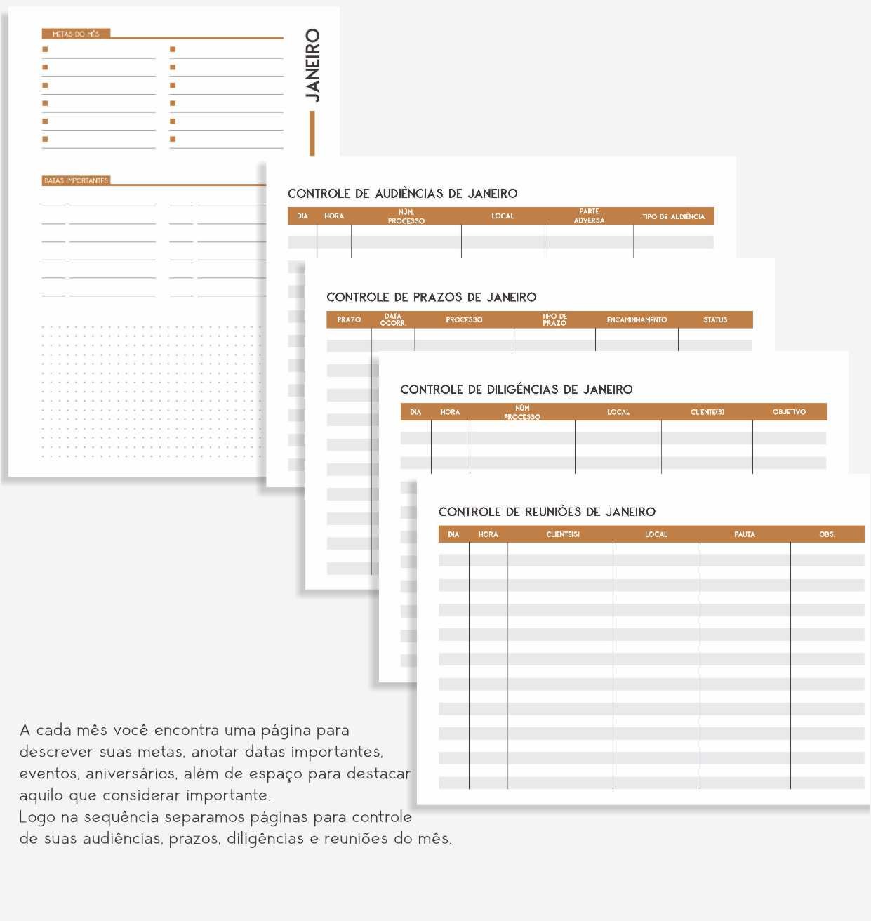 Planner Jurídico 2025 Personalizado Para Advogados & Advogadas Iza